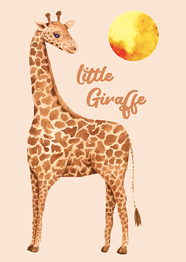 Giraffe Giraffes Africa