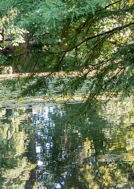 autumn reflection on water