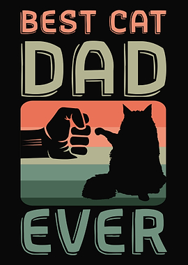 Cat Cats Feline Kitty Cat