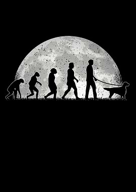 English Setter Evolution