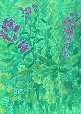 Northern Wildflowers Green