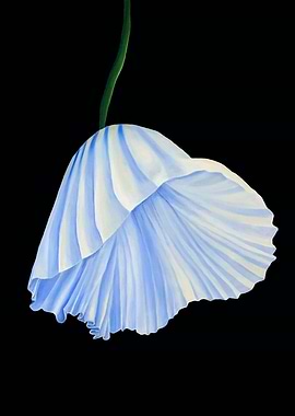 Pleated Skirt Flower