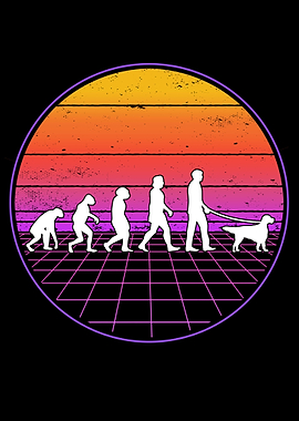 English Setter Evolution