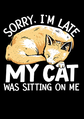 My Cat Was Sitting On Me