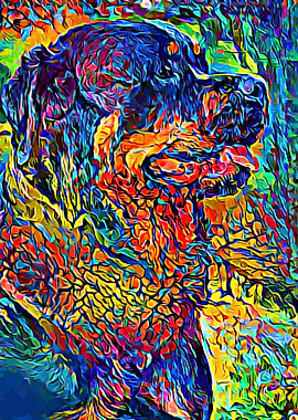 Rottweiler Colorful