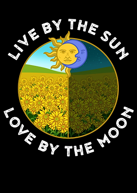 Sunflower Live By The Sun