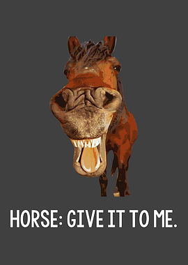 Horse Love Riding Horses