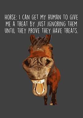 Horse Love Riding Horses