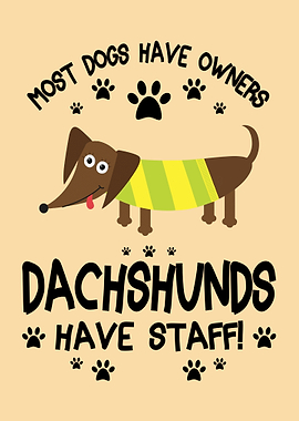 Dachshunds