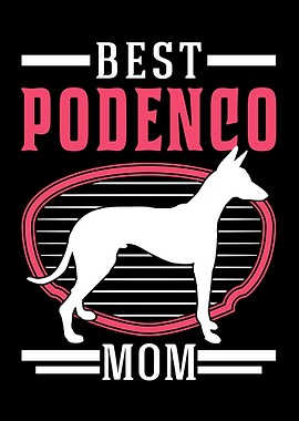 Best Podenco Mom Canario