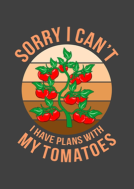 Tomato