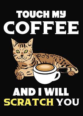 Cat Cats Feline Kitty Cat