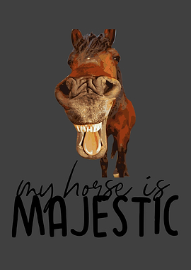 Horse Love Riding Horses