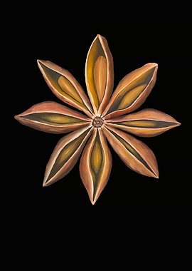 Star anise spice