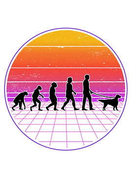 English Setter Evolution