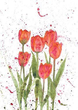 Red tulips