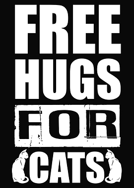 Cat Cats Feline Kitty Cat