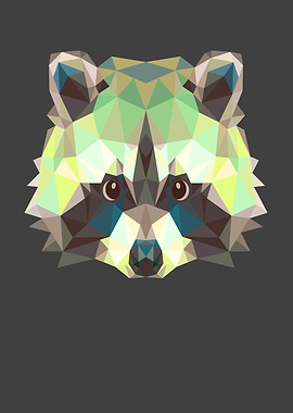 Racoon