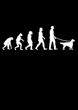 English Setter Evolution