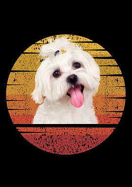 Maltese Retro Maltese Dog