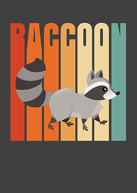 Racoon