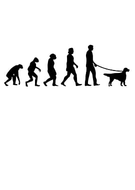 English Setter Evolution