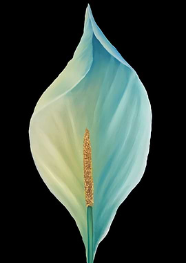 Calla Lily candle gold