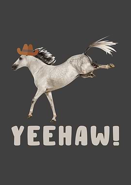 Horse Love Riding Horses