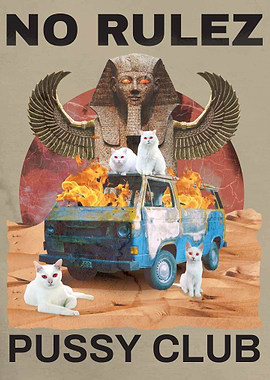 Pussy Club Funny Cats