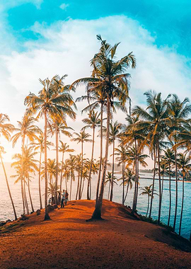 The coconut tree hill