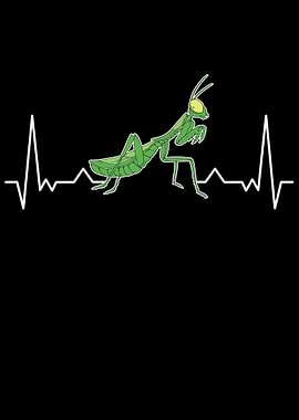 Praying Mantis Heartbeat