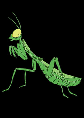 Praying Mantis