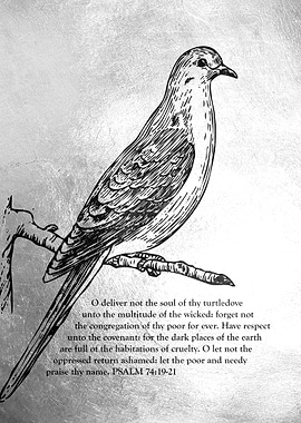 Psalm 74:19-21 Turtledove