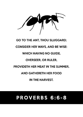 Proverbs 6:6-8