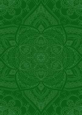 Moringa Loergann Trace