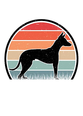 Podenco Canario Retro