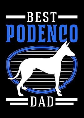 Best Podenco Dad Canario