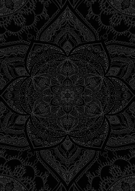 Raven Loergann Trace 4