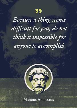 Because a thing seems