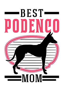 Best Podenco Mom Canario