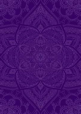 Boysenberry Loergann Trace