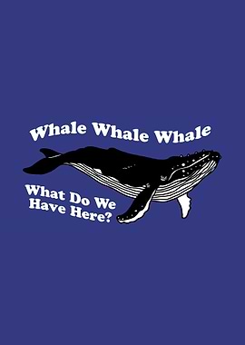 Whale Whale Whale