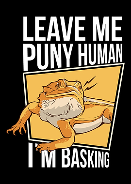 Bearded Dragon Reptile