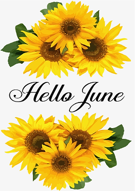 Hello June Sunshine Summer