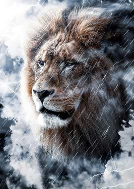 epic lion king on rain