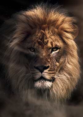 epic lion king face poster