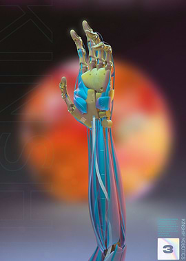 Kinship Robotics Autumn