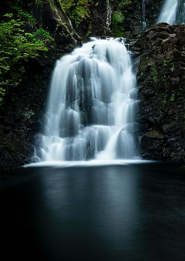 Waterfall in the Forest