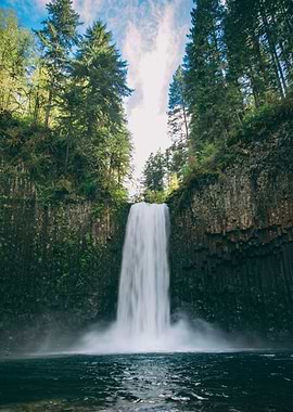 Waterfall in the Forest