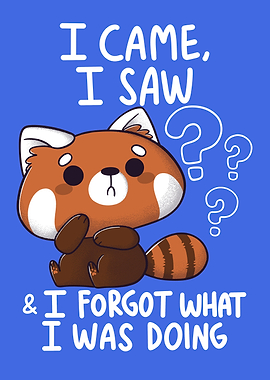 Forgetful Red Panda